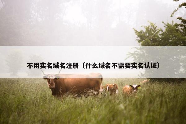 不用实名域名注册（什么域名不需要实名认证）