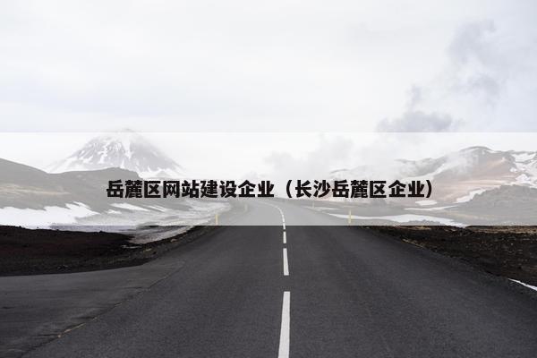 岳麓区网站建设企业（长沙岳麓区企业）