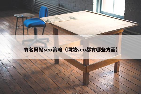 有名网站seo策略（网站seo都有哪些方面）