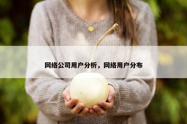网络公司用户分析，网络用户分布