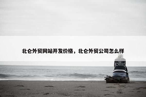 北仑外贸网站开发价格，北仑外贸公司怎么样