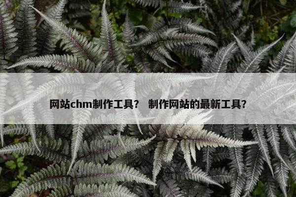 网站chm制作工具？ 制作网站的最新工具？