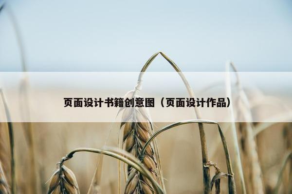 页面设计书籍创意图（页面设计作品）