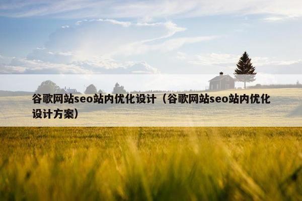 谷歌网站seo站内优化设计（谷歌网站seo站内优化设计方案）