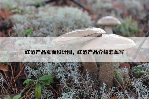 红酒产品页面设计图，红酒产品介绍怎么写