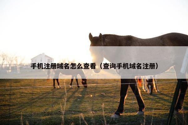 手机注册域名怎么查看（查询手机域名注册）
