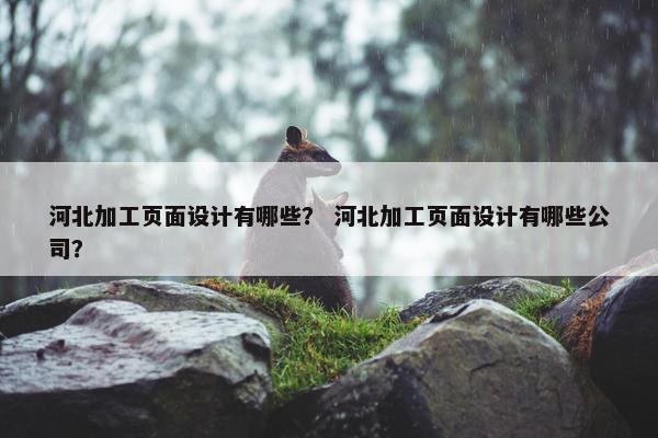 河北加工页面设计有哪些？ 河北加工页面设计有哪些公司？