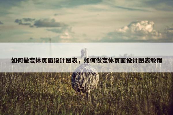 如何做变体页面设计图表，如何做变体页面设计图表教程