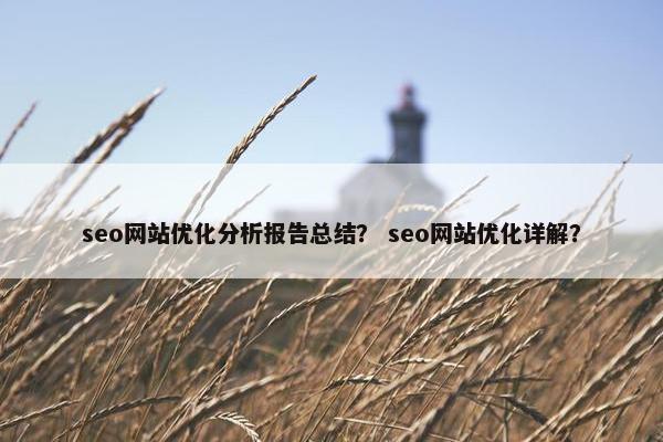 seo网站优化分析报告总结？ seo网站优化详解？
