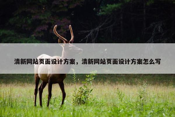 清新网站页面设计方案，清新网站页面设计方案怎么写