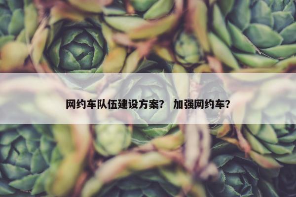 网约车队伍建设方案？ 加强网约车？