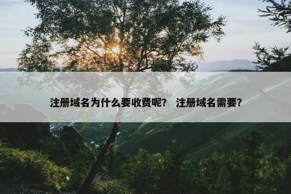 注册域名为什么要收费呢？ 注册域名需要？