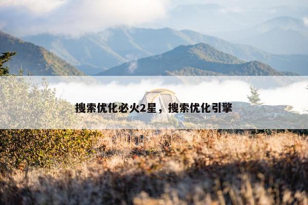 搜索优化必火2星，搜索优化引擎