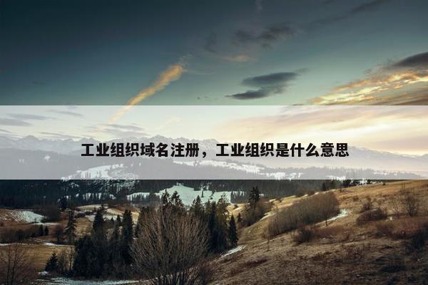 工业组织域名注册，工业组织是什么意思