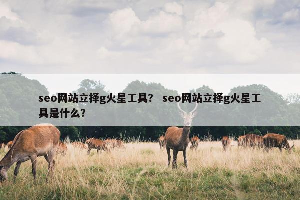 seo网站立择g火星工具？ seo网站立择g火星工具是什么？