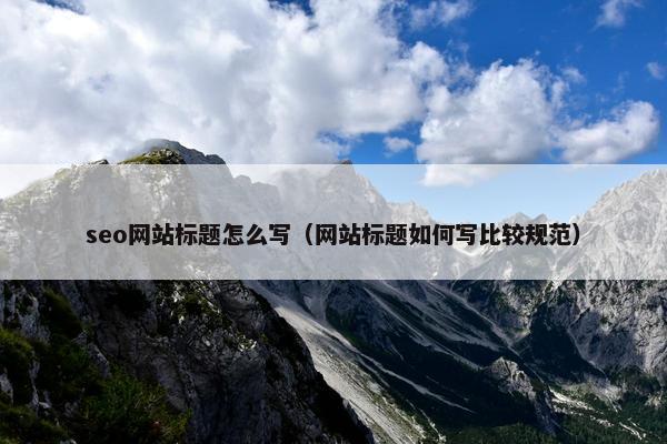 seo网站标题怎么写（网站标题如何写比较规范）
