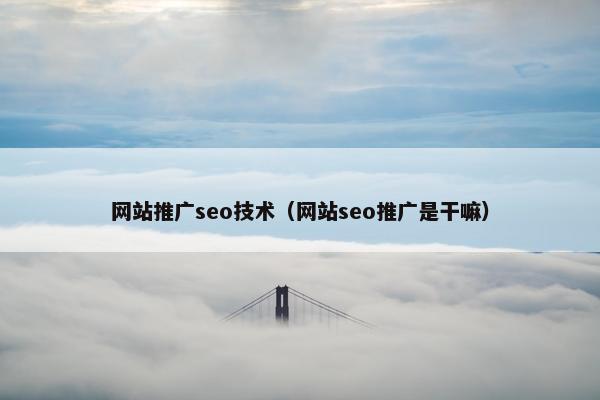 网站推广seo技术（网站seo推广是干嘛）