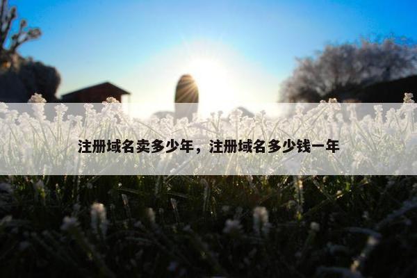 注册域名卖多少年，注册域名多少钱一年