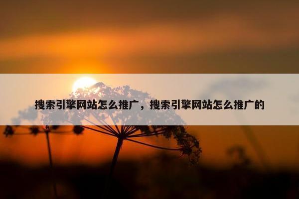 搜索引擎网站怎么推广，搜索引擎网站怎么推广的