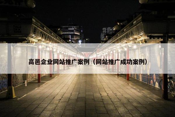 高邑企业网站推广案例（网站推广成功案例）