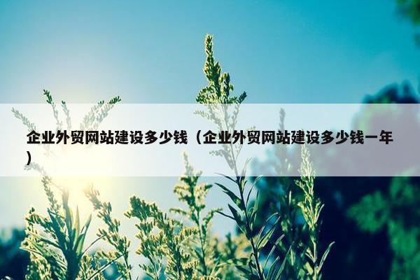 企业外贸网站建设多少钱（企业外贸网站建设多少钱一年）