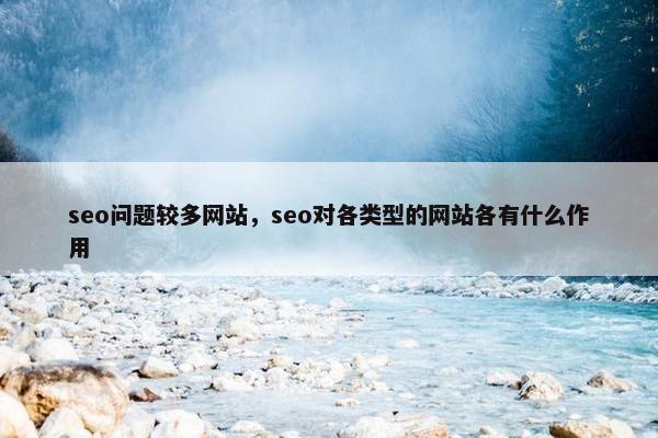 seo问题较多网站，seo对各类型的网站各有什么作用