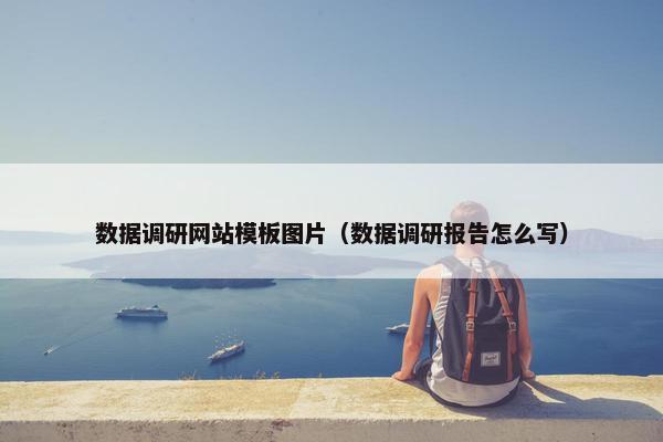 数据调研网站模板图片（数据调研报告怎么写）
