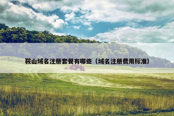 鞍山域名注册套餐有哪些（域名注册费用标准）