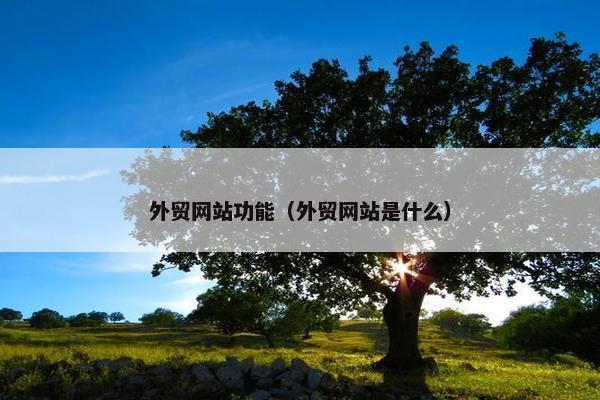 外贸网站功能（外贸网站是什么）