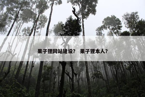 果子狸网站建设？ 果子狸本人？