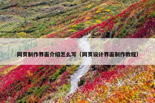 网页制作界面介绍怎么写（网页设计界面制作教程）