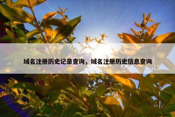 域名注册历史记录查询，域名注册历史信息查询