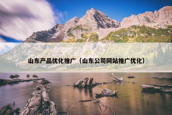 山东产品优化推广（山东公司网站推广优化）
