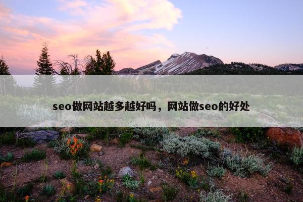 seo做网站越多越好吗，网站做seo的好处