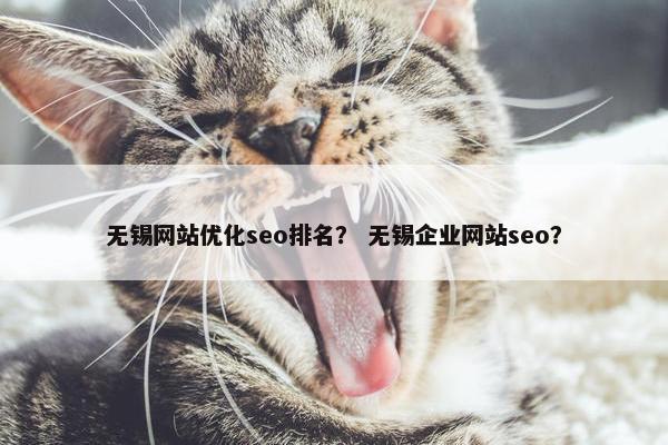 无锡网站优化seo排名？ 无锡企业网站seo？