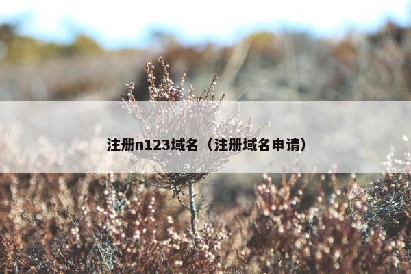 注册n123域名（注册域名申请）