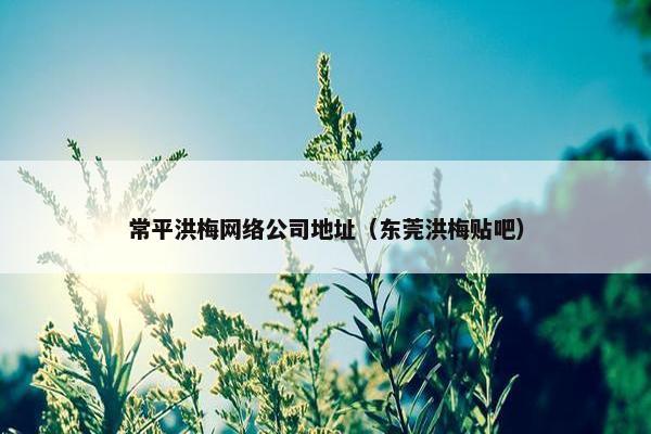 常平洪梅网络公司地址（东莞洪梅贴吧）