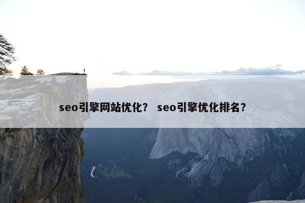 seo引擎网站优化？ seo引擎优化排名？