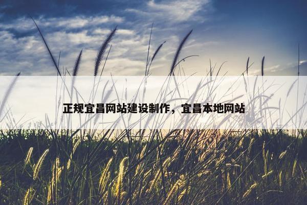 正规宜昌网站建设制作，宜昌本地网站