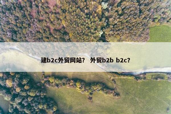 建b2c外贸网站？ 外贸b2b b2c？