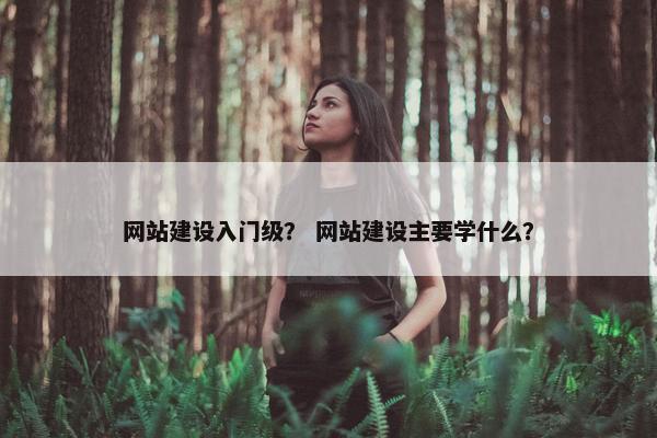 网站建设入门级？ 网站建设主要学什么？