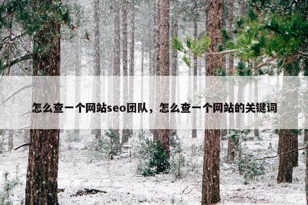 怎么查一个网站seo团队，怎么查一个网站的关键词