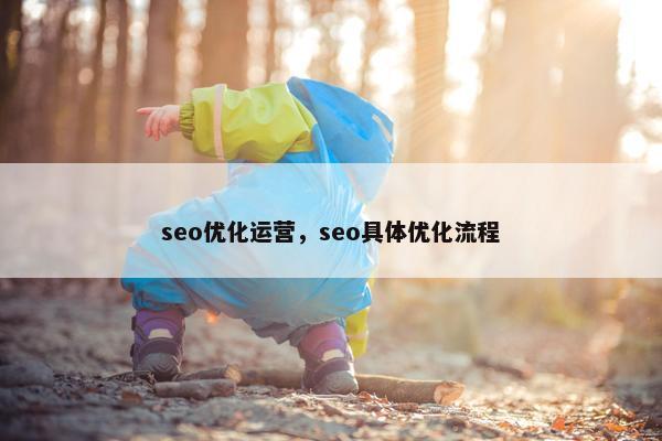 seo优化运营，seo具体优化流程