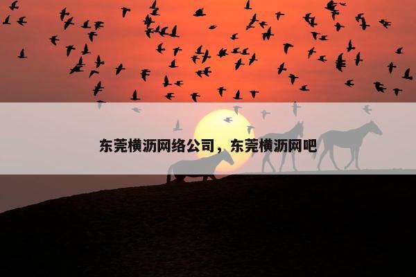 东莞横沥网络公司，东莞横沥网吧