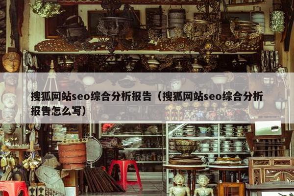 搜狐网站seo综合分析报告（搜狐网站seo综合分析报告怎么写）