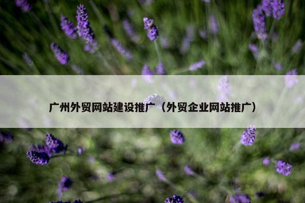 广州外贸网站建设推广（外贸企业网站推广）