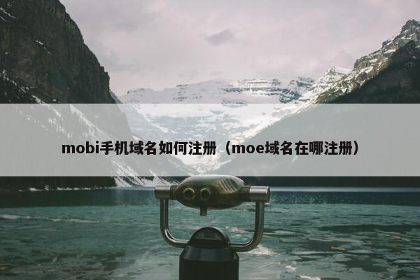 mobi手机域名如何注册（moe域名在哪注册）