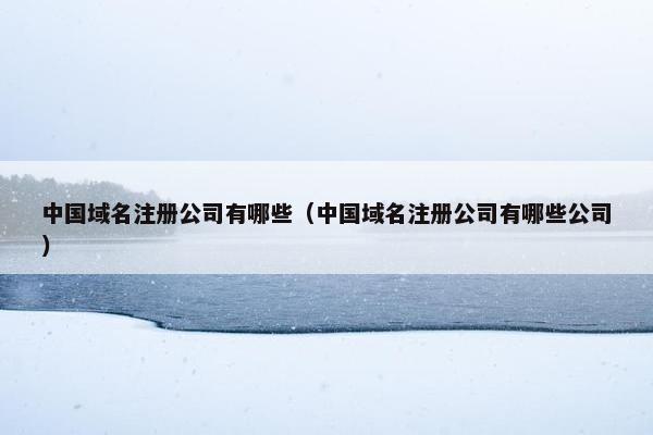 中国域名注册公司有哪些（中国域名注册公司有哪些公司）