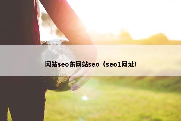 网站seo东网站seo（seo1网址）