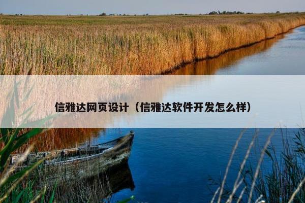 信雅达网页设计（信雅达软件开发怎么样）